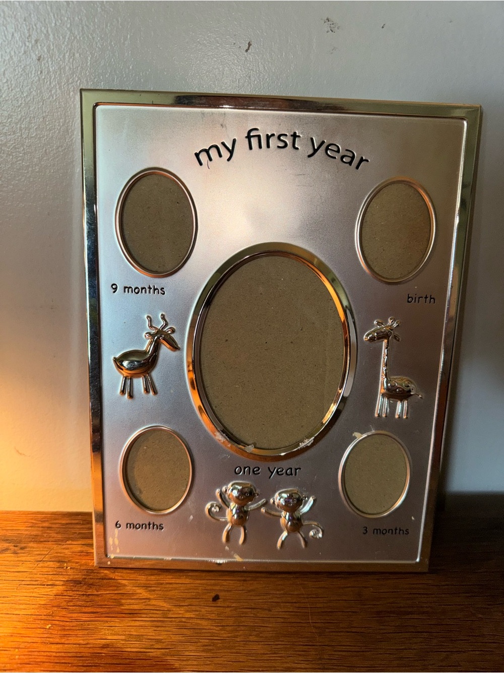 Target Silver and Gold "My First Year" Baby Picture Frame